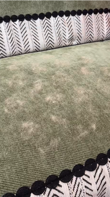 Covered in Pet Hair